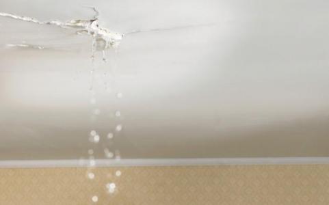 Diving-into-Water-Leakage-Woes:-Understanding-Different-Types-of-Problems