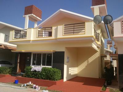 Comparing-Asian-Paints-Exterior:-Ace,-Apex,-Ultima,-Protek