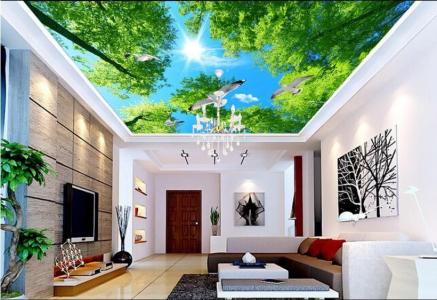 Ceiling-3D-Wallpaper-Ideas:-Elevate-Your-Space