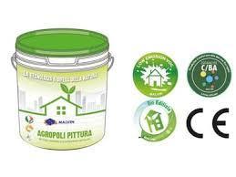 Water-Based-Paints:-Eco-Friendly-Options-for-Vibrant-Results