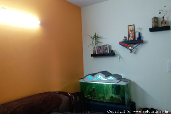 Interior Painting Home Painting Project at Marathahalli